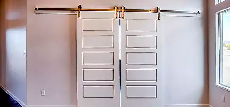Glass Barn Door with Installation Hardware Kit Irving